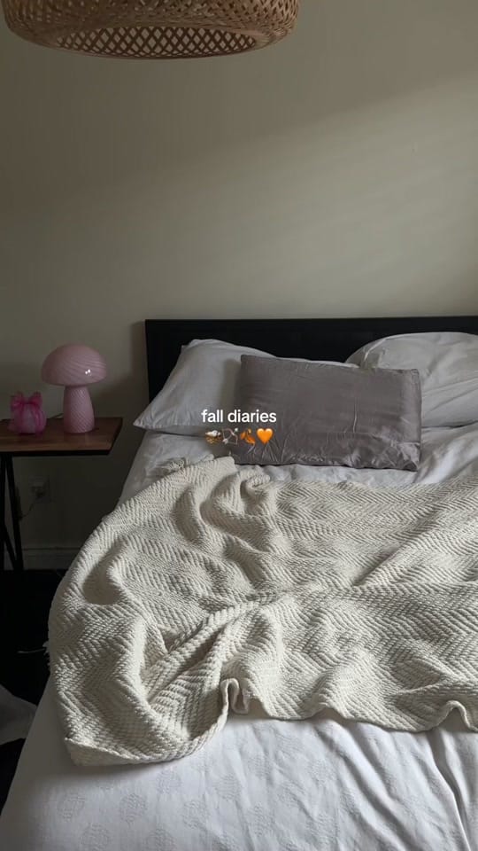 Post 6 by alese♡ on TikTok (video)