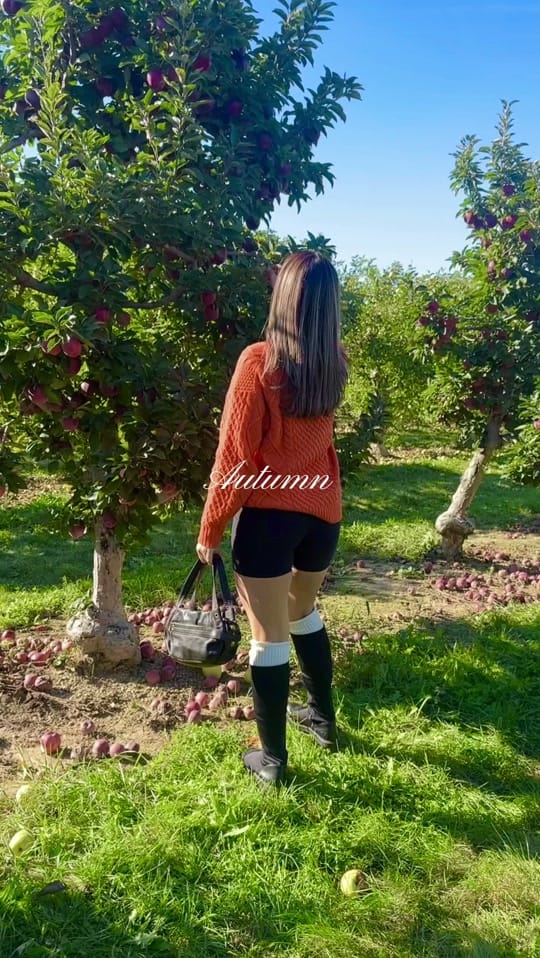 Post 2 by alese♡ on TikTok (video)