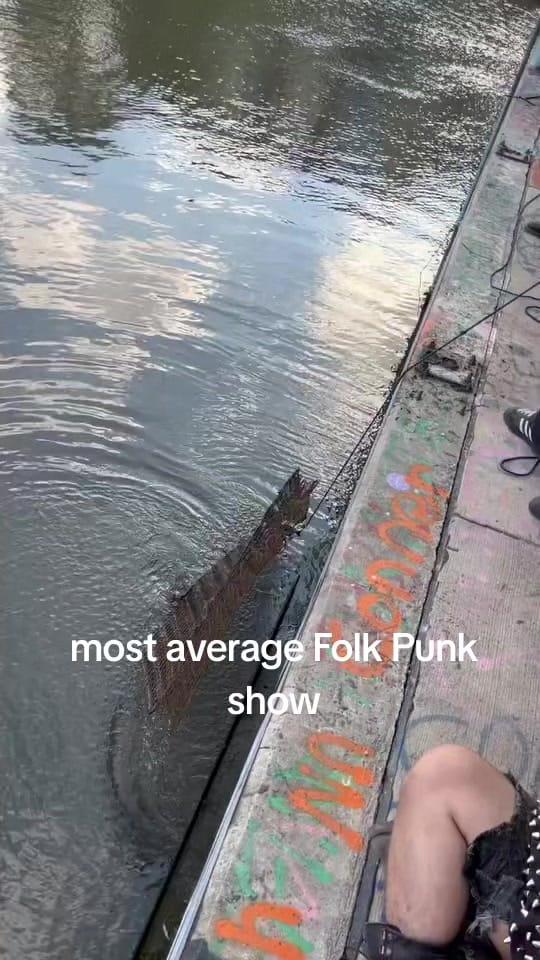 Post 5 by Cricket! 🦗 on TikTok (video)