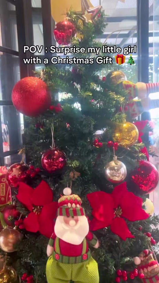 Post 2 by Chelsea Carissa Yu on TikTok (video)
