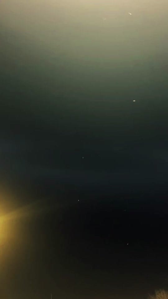 Post 7 by Penny on TikTok (video)