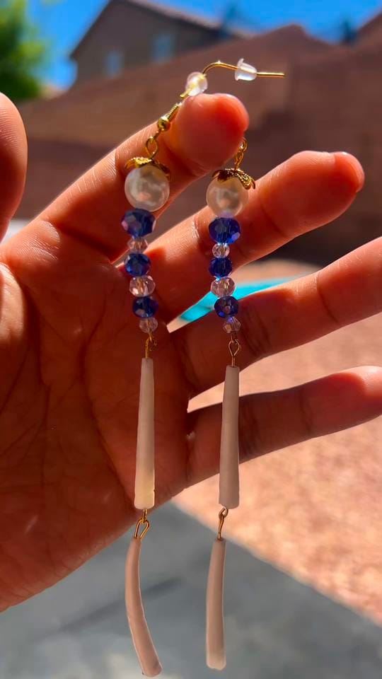 Post 1 by Penny on TikTok (video)