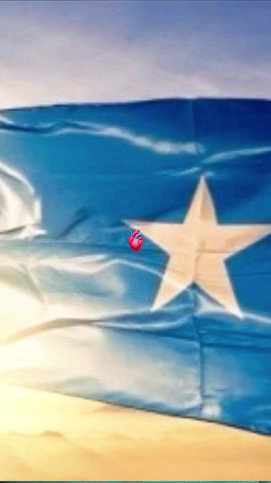Post 9 by Hannad 🇸🇴🦒🧢 on TikTok (video)