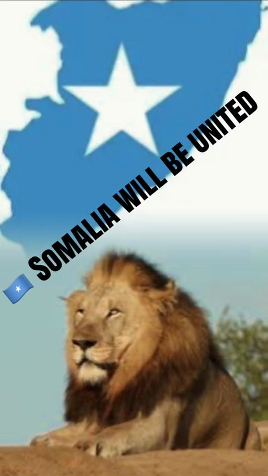Post 3 by Hannad 🇸🇴🦒🧢 on TikTok (video)