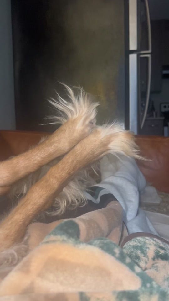 Post 10 by huevos on TikTok (video)