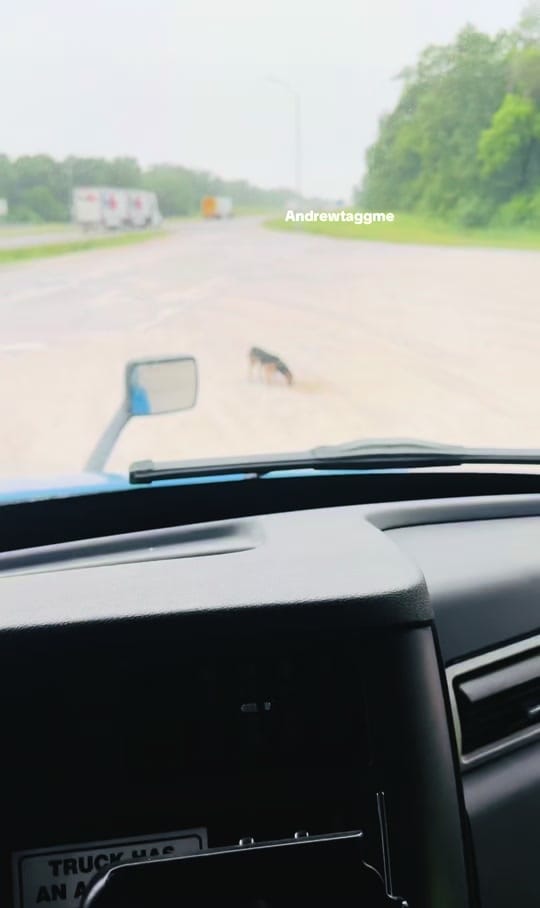 Post 5 by Andrewtaggme(ATM) on TikTok (video)