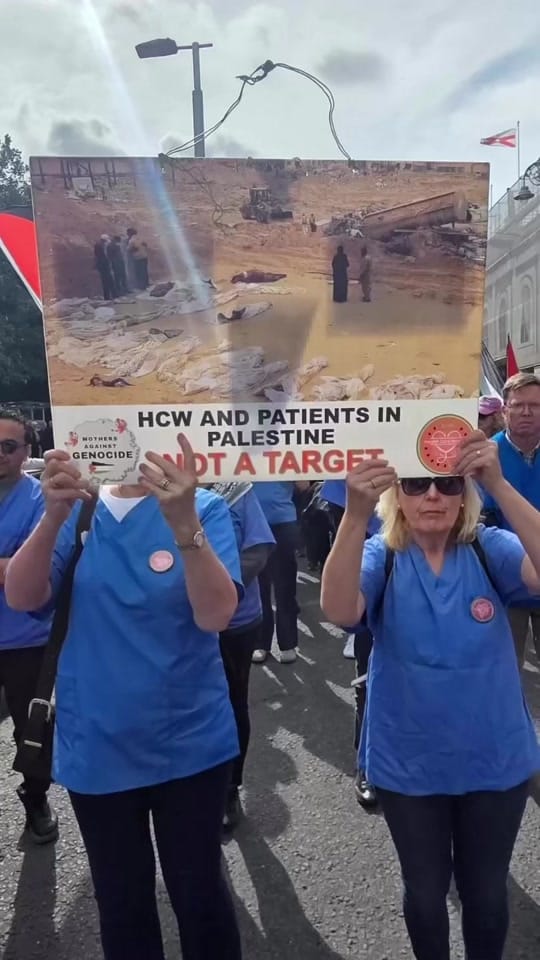 Post 2 by Irish HCW for Palestine on TikTok (video)
