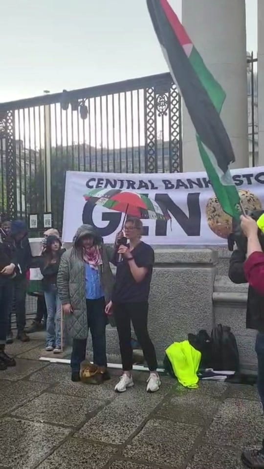 Post 10 by Irish HCW for Palestine on TikTok (video)
