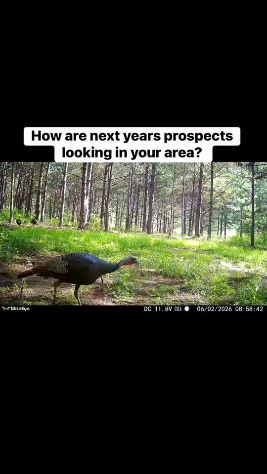 Post 3 by 🦃 Lynchburg Outdoors 🦌 on TikTok (video)