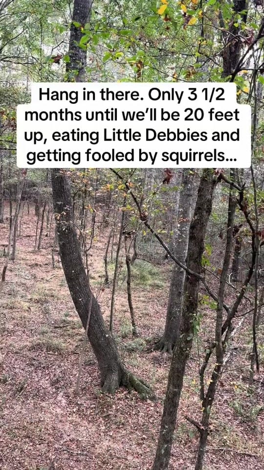 Post 5 by 🦃 Lynchburg Outdoors 🦌 on TikTok (video)