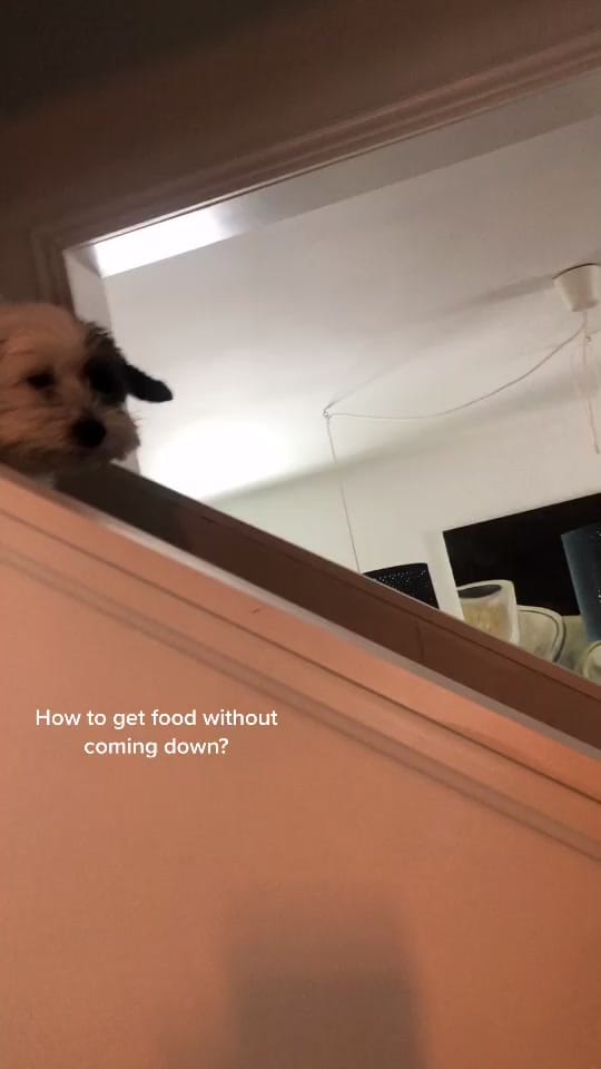 Post 4 by Bradshaw Pure Esthetics on TikTok (video)