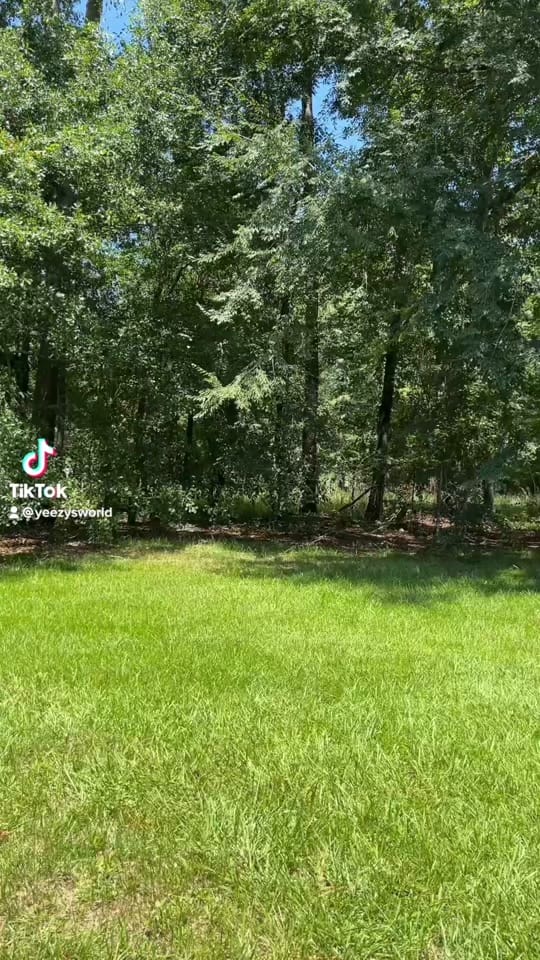 Post 9 by YEEZY$WORLD on TikTok (video)