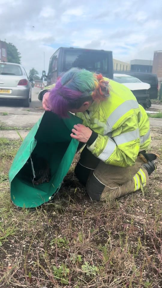 Post 3 by Nottinghamshire Fire & Rescue on TikTok (video)