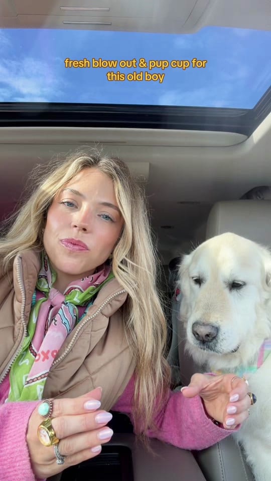 Post 5 by Chelsea Hamilton on TikTok (video)