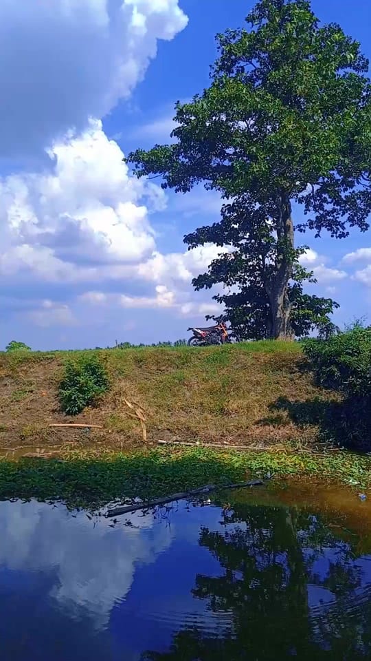Post 6 by derry🐼🐼 on TikTok (video)