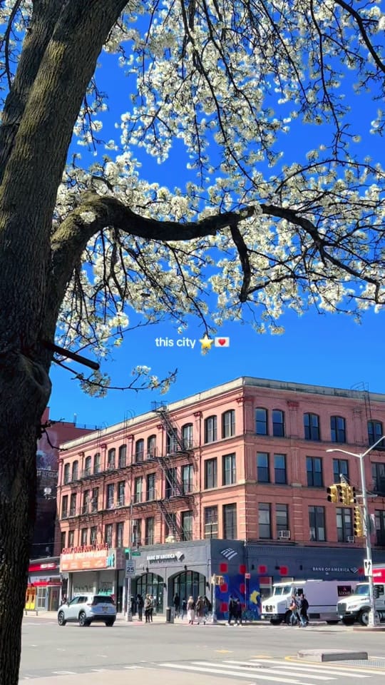 Post 8 by Benni 🌞 on TikTok (video)