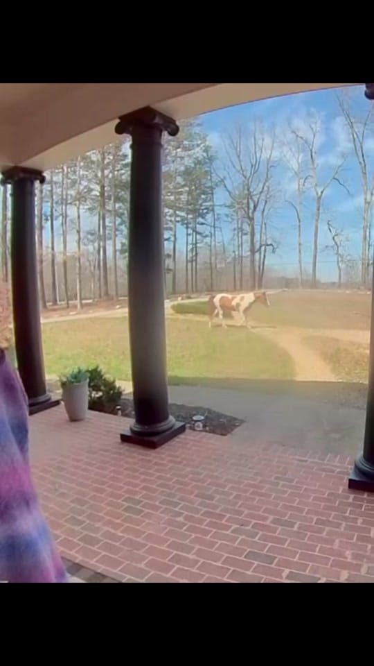 Post 8 by happilyeverashlee on TikTok (video)