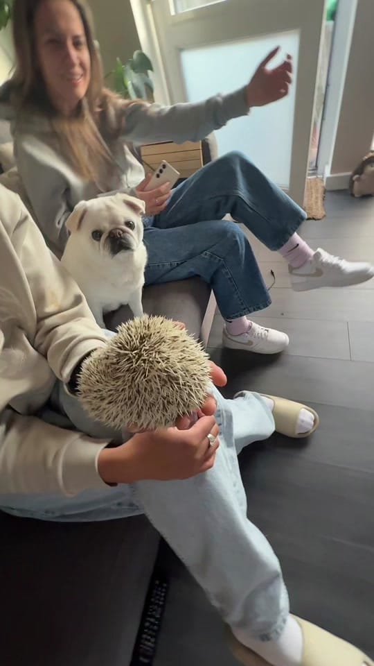 Post 1 by CeCe.Chelle on TikTok (video)