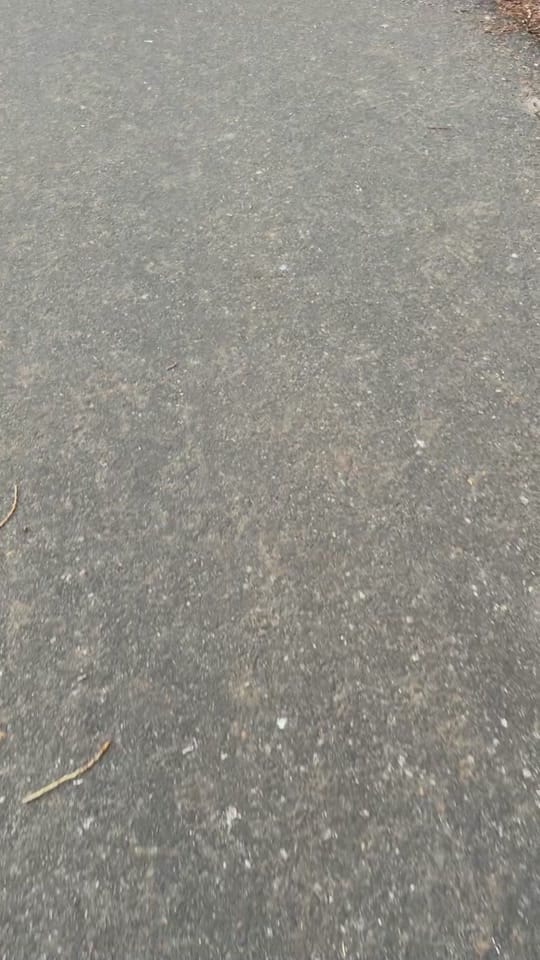 Post 1 by Fairly odd rave parents on TikTok (video)