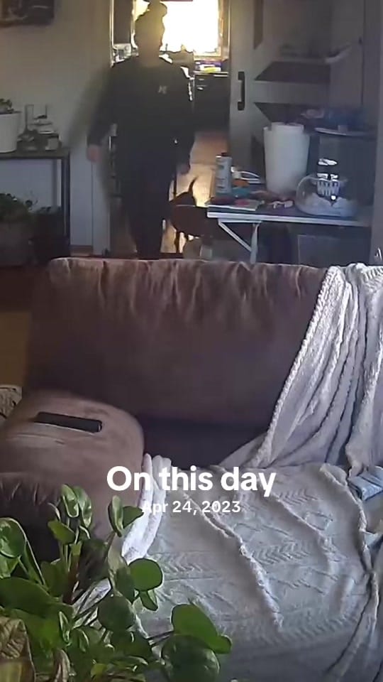 Post 6 by Fairly odd rave parents on TikTok (video)