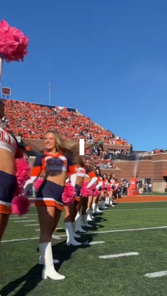 Post 4 by Illinettes on TikTok (video)