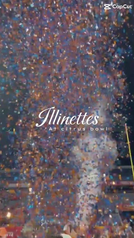 Post 8 by Illinettes on TikTok (video)