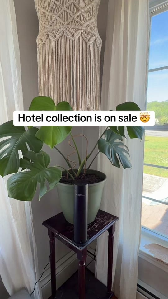 Post 1 by Chelsea TikTok Shop Tips on TikTok (video)