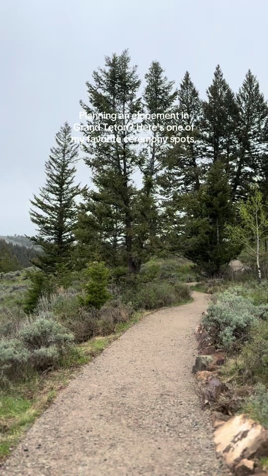 Post 5 by Wedding Photog - Liz Arrieta on TikTok (video)