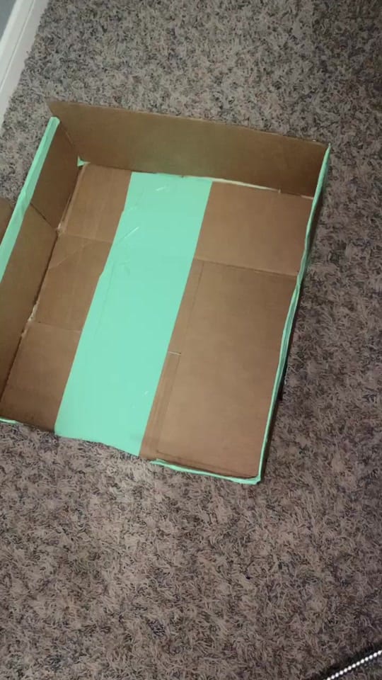 Post 9 by Amber Talley on TikTok (video)