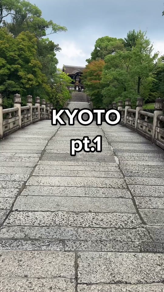 Post 5 by Joanna Sotomura on TikTok (video)