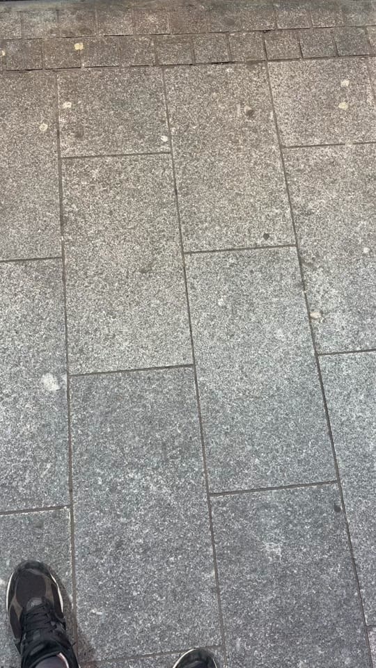 Post 8 by malz on TikTok (video)