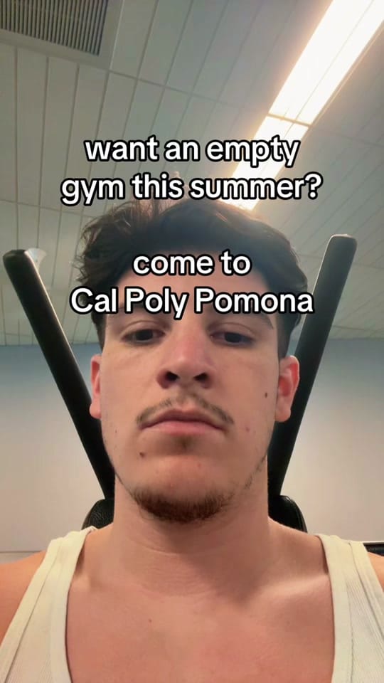 Post 5 by Richard on TikTok (video)