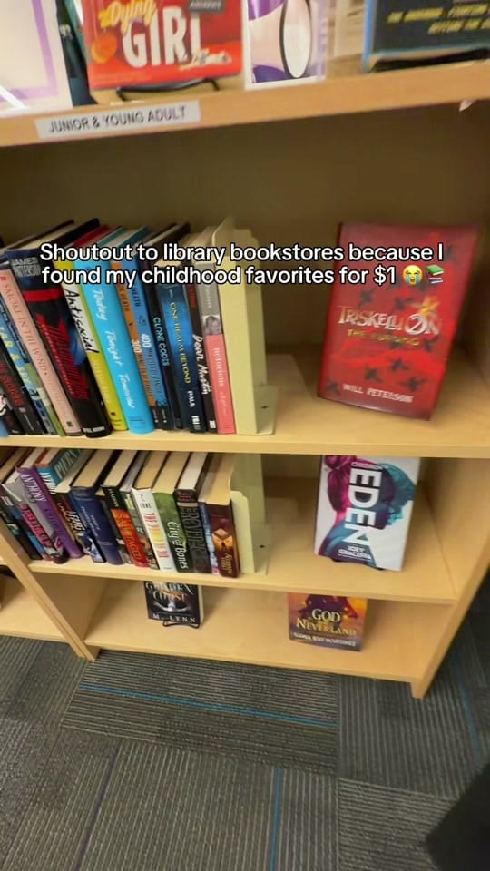 Post 2 by Alexzandra📚💖🐉 on TikTok (video)