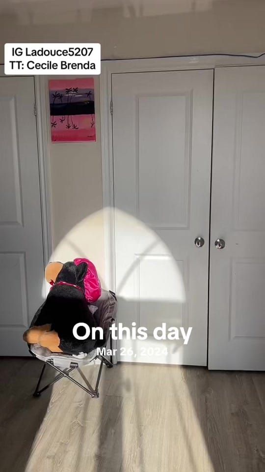 Post 6 by Cecile Brenda |Content Creator on TikTok (video)