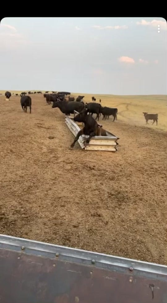 Post 10 by Keith Duane Jewett on TikTok (video)