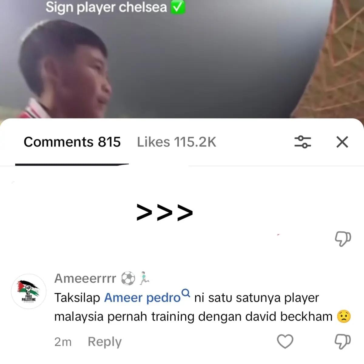 Post 1 by Ameer pedro 💙🇲🇾🇵🇸 on TikTok (video)