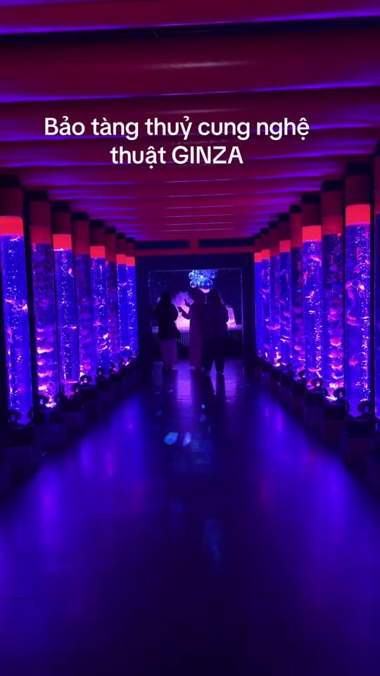Post 7 by TUẤN CHELSEA on TikTok (video)
