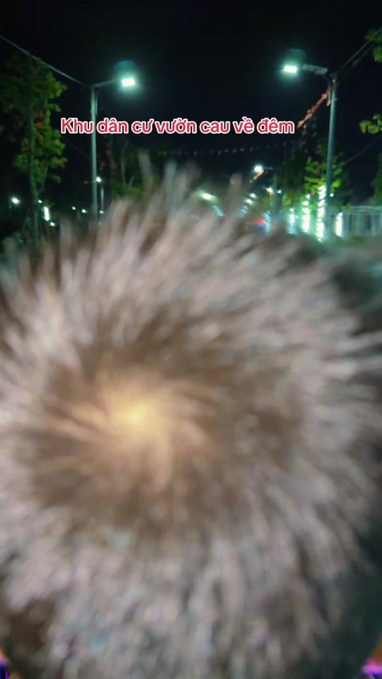 Post 5 by TUẤN CHELSEA on TikTok (video)