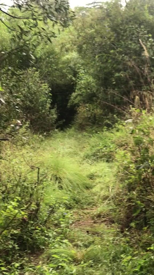 Post 6 by .                           🕊 on TikTok (video)
