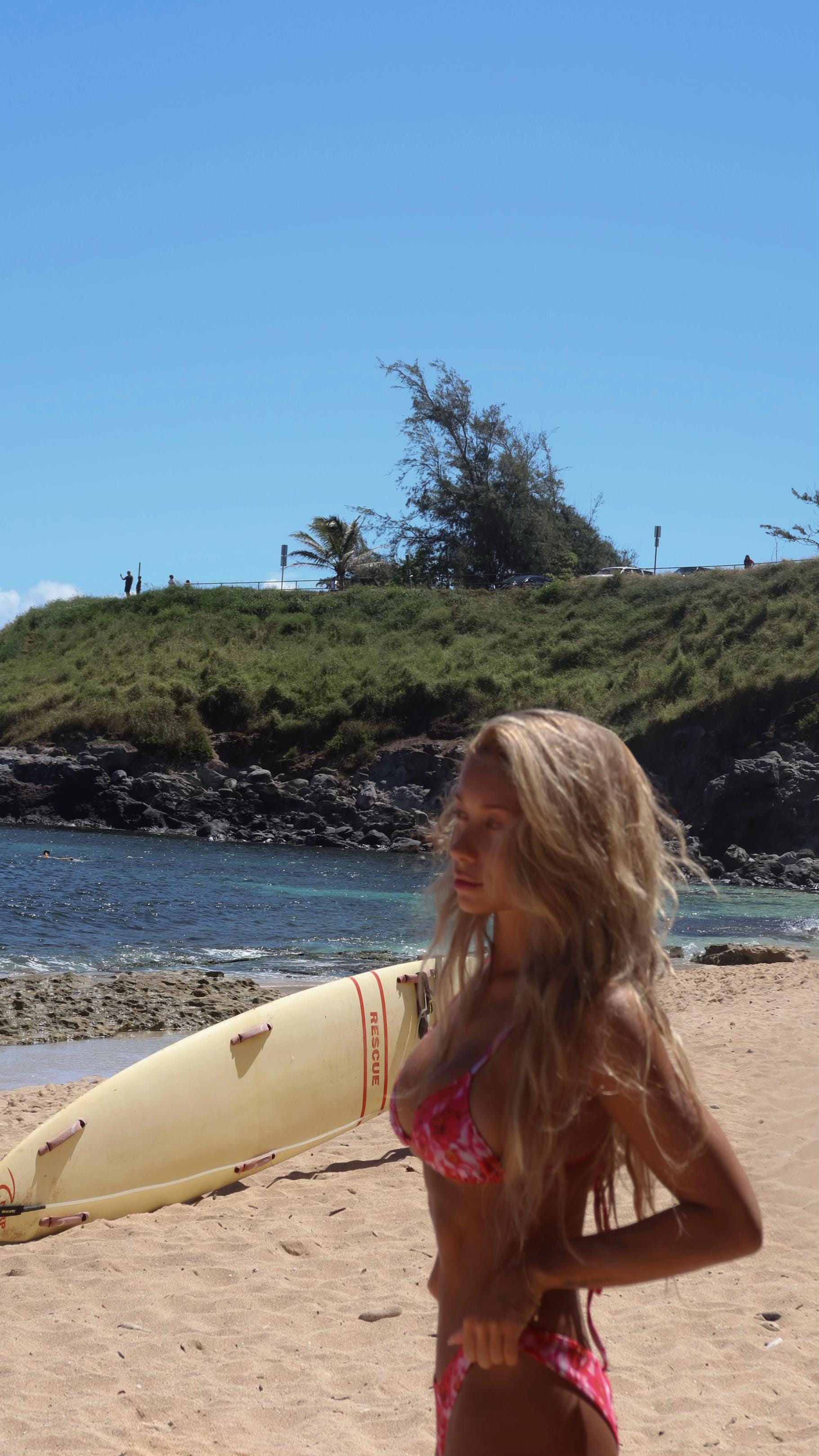 Post 3 by Briar Nolet on TikTok (video)