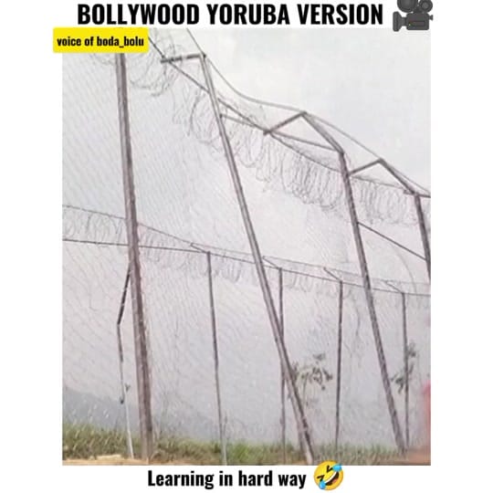 Post 8 by BODA BOLU on TikTok (video)