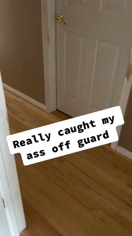 Post 1 by Christian Guardino on TikTok (video)