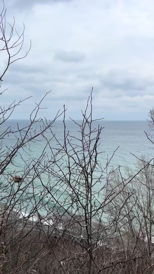 Post 8 by Koreanshop.ca (100% Authentic) on TikTok (video)