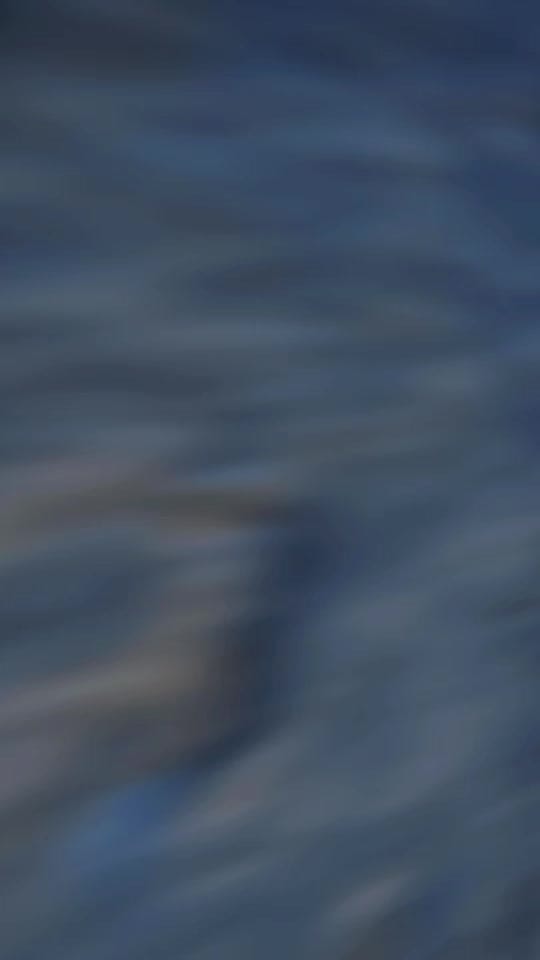 Post 3 by Chelsea Pham on TikTok (video)