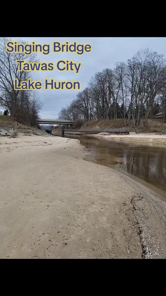 Post 9 by Mel From Michigan on TikTok (video)