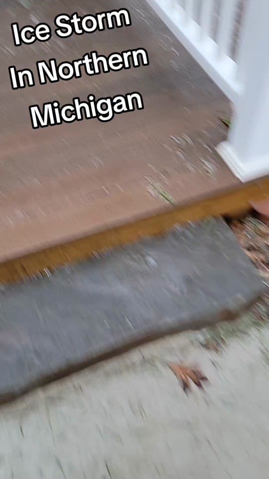 Post 8 by Mel From Michigan on TikTok (video)