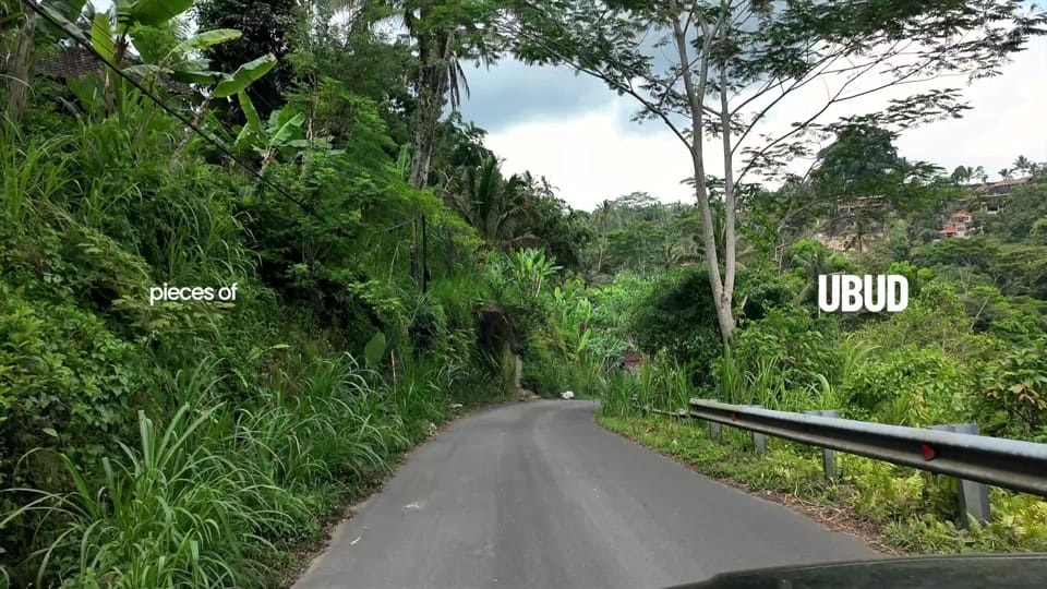 Post 6 by joyce peng on TikTok (video)