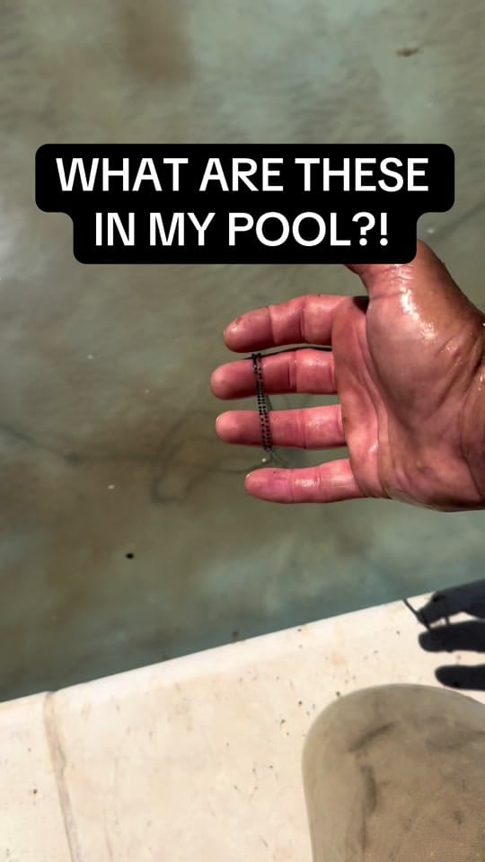 Post 5 by Passivefun101 on TikTok (video)
