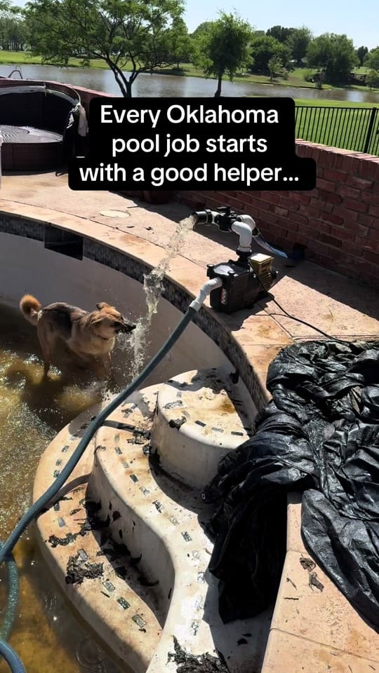 Post 6 by Passivefun101 on TikTok (video)