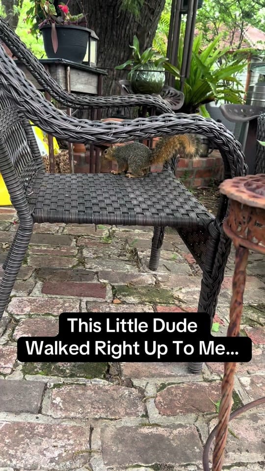Post 4 by Passivefun101 on TikTok (video)